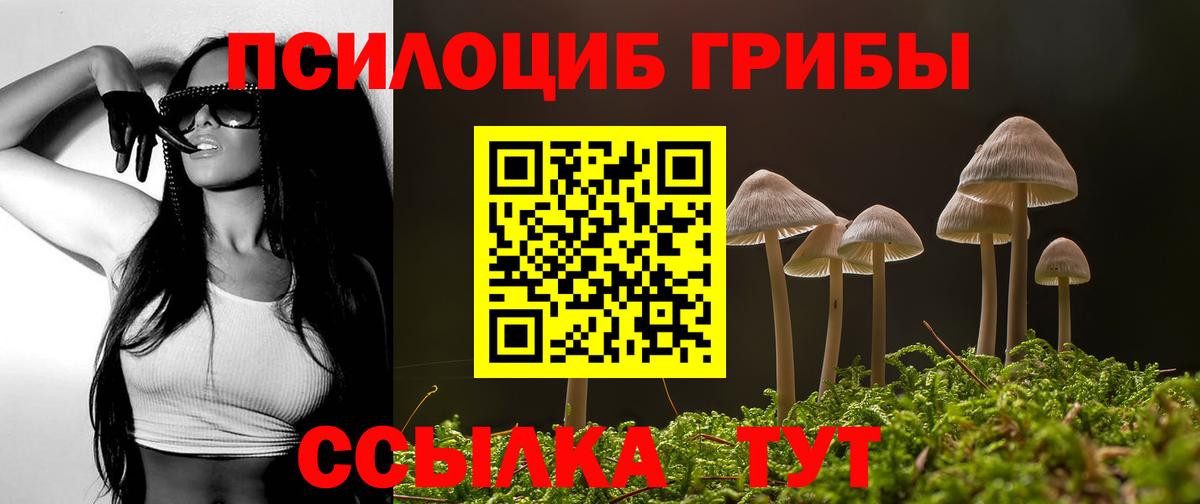 Апатиты  Псилоцибиновые грибы Psilocybe  Псилоцибиновые грибы Psilocybe  Вход с VPN 